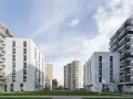 Wspólnota czy Spółdzielnia? Różnice, koszty, własność co wybrać?